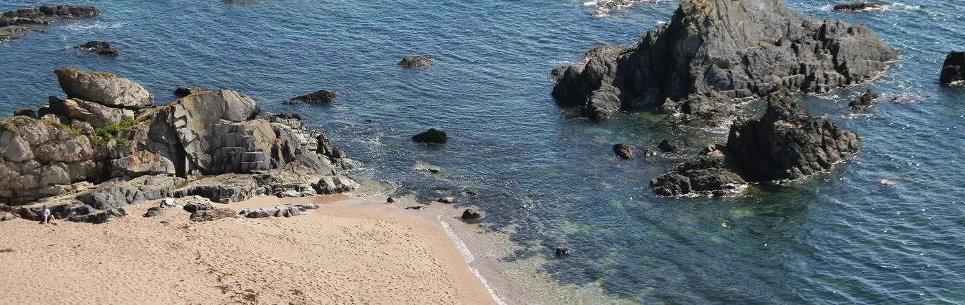 CLOSE TO THE COAST