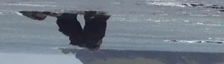 &nbsp;
